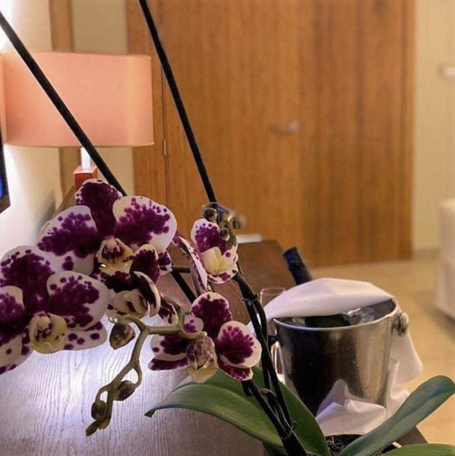 Allure Junior Suite King,1085297434:JPEG