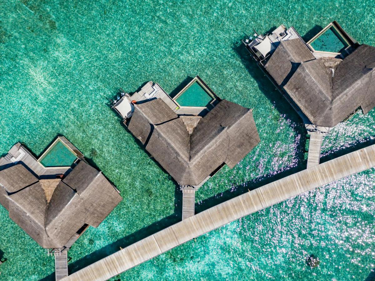 Suite Ocean mit eigenem Pool