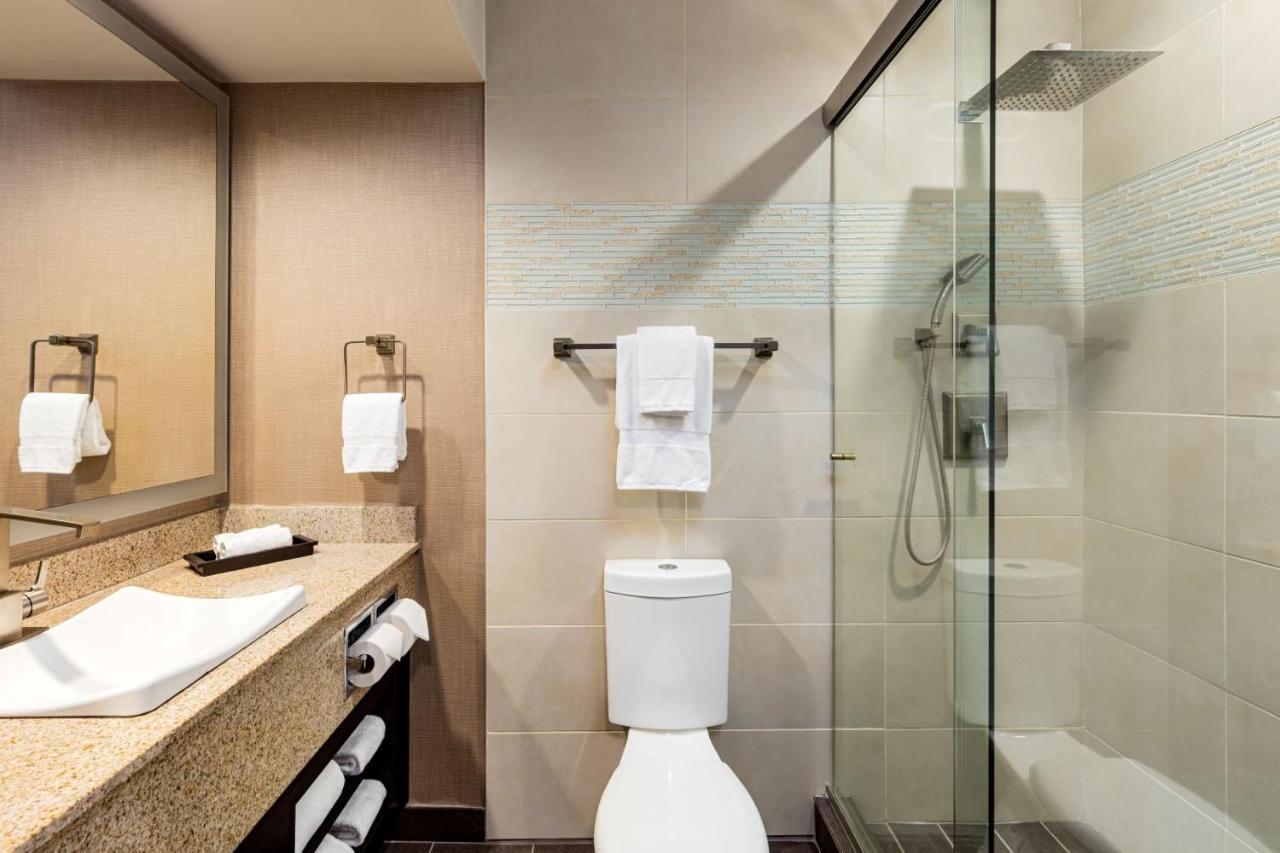 Executive King Suite