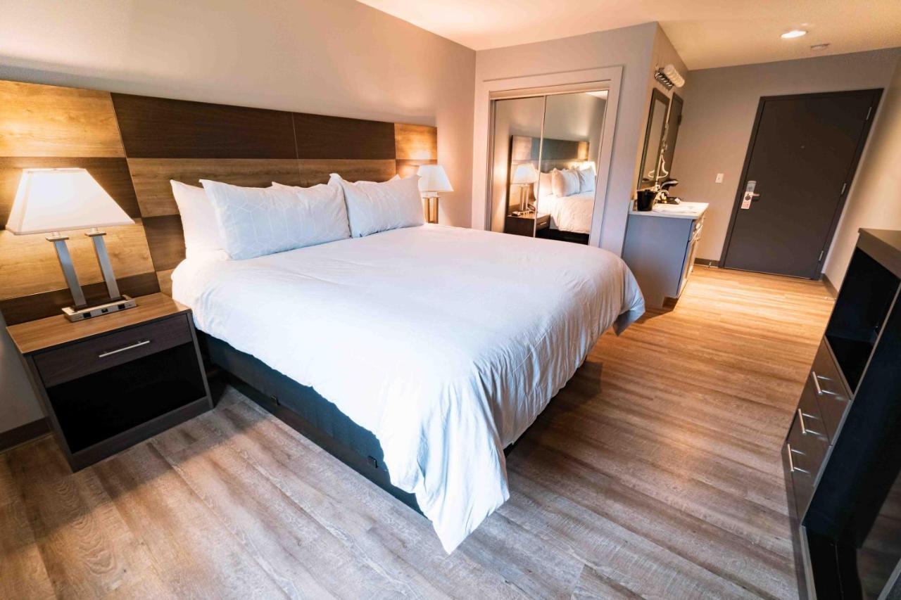 King Room,1115906586:JPEG