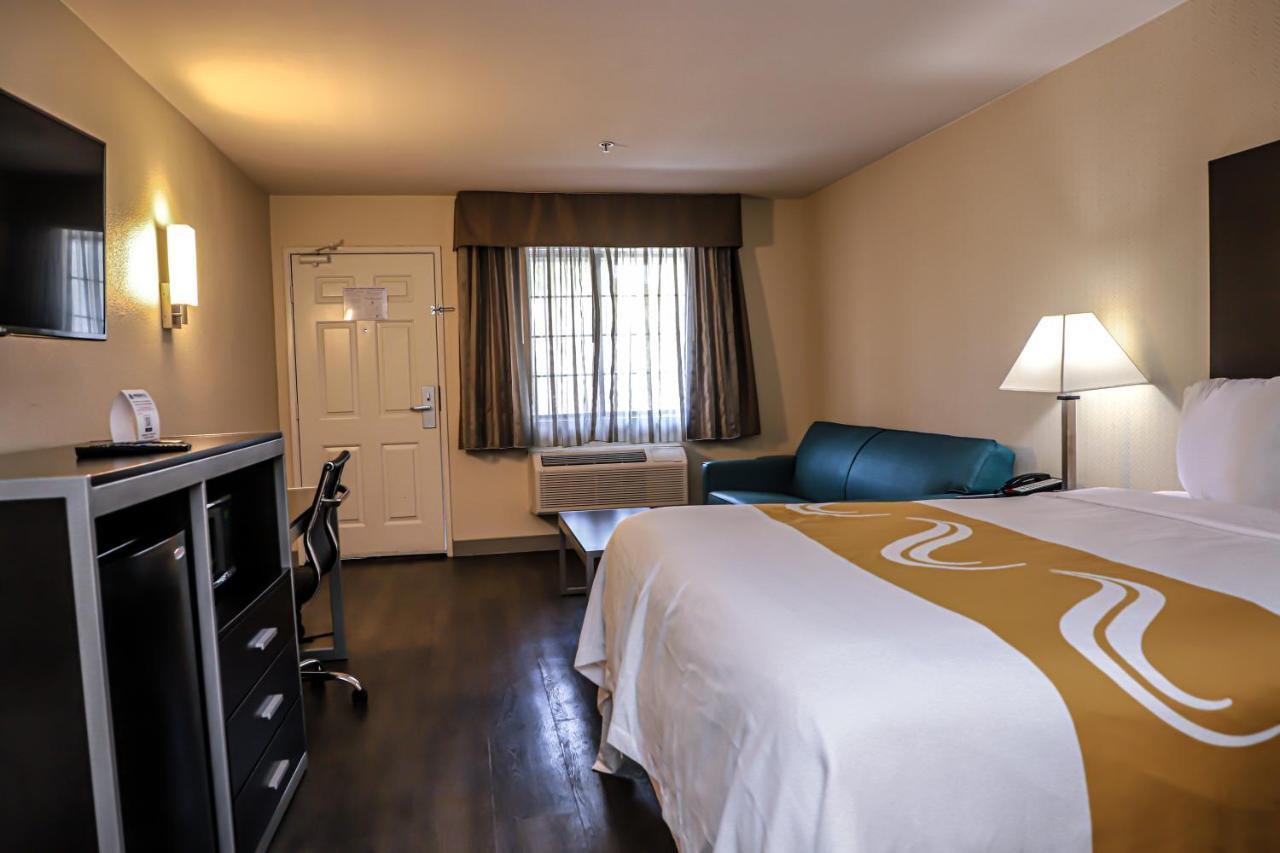 Suite, 1 King Bed with Sofa Bed, Non Smoking