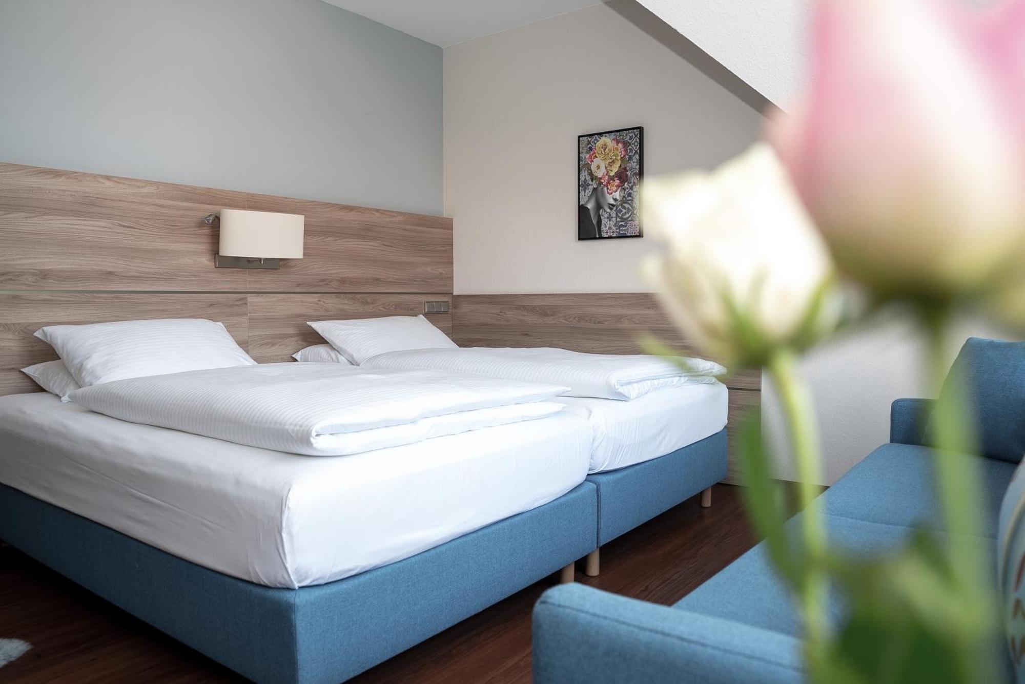 Executive Double or Twin Room