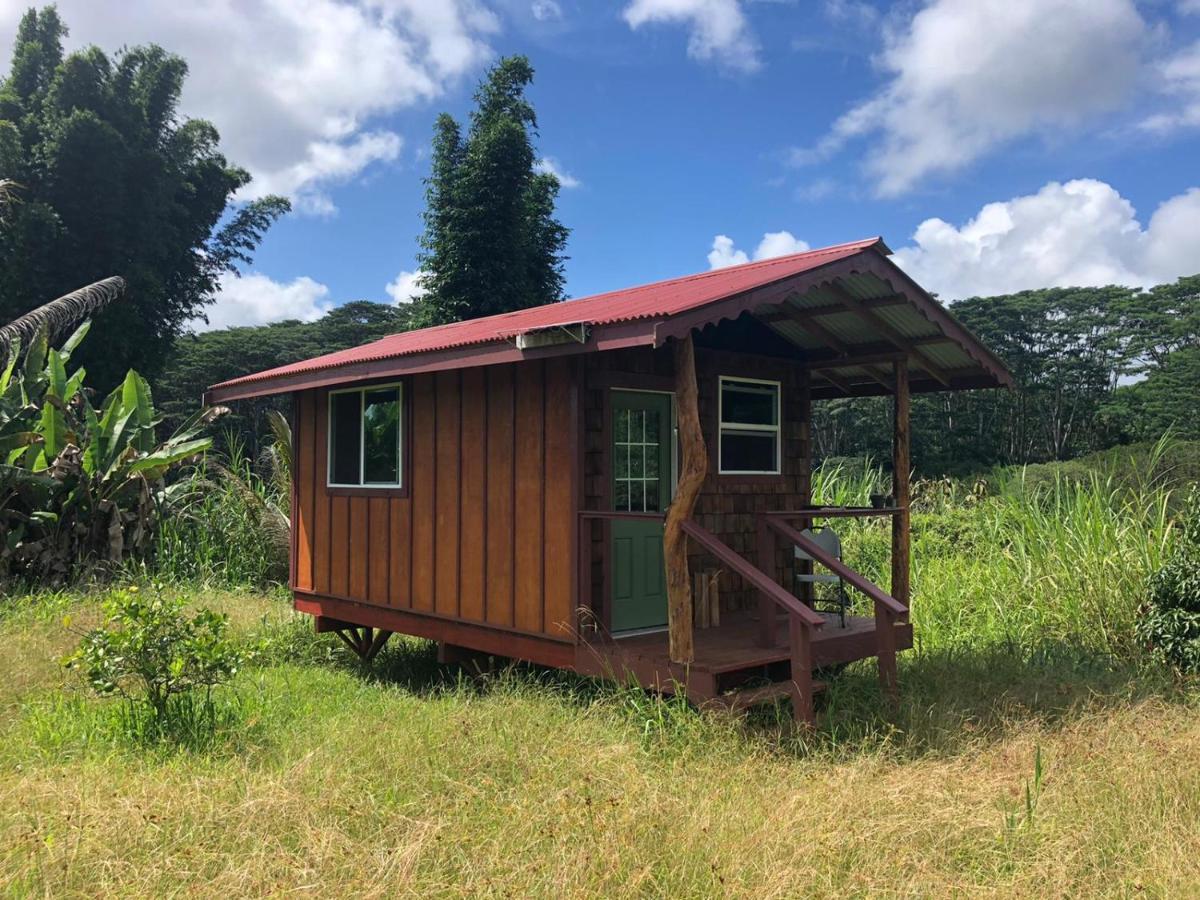 Gardenview Cabin - Limited Electricity / Shared Bathroom