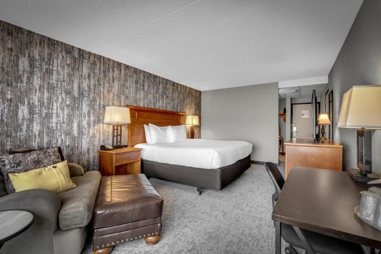 Deluxe King Room No pets
