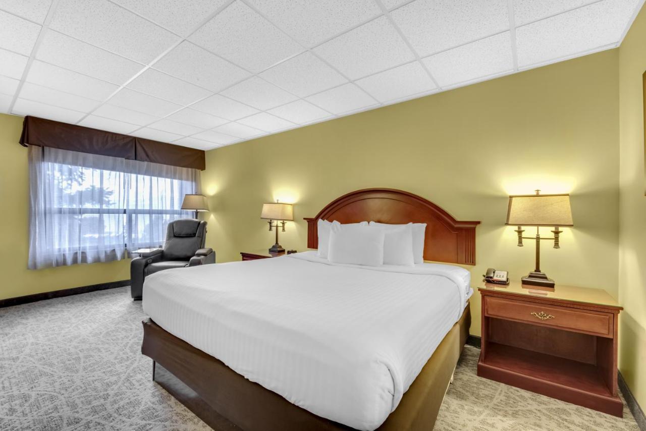 King Room No Pets