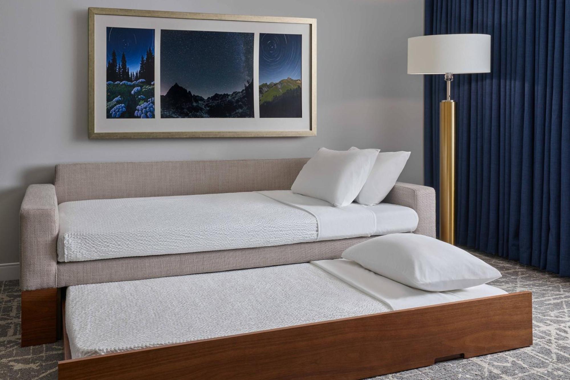 King Suite Sofa Bed