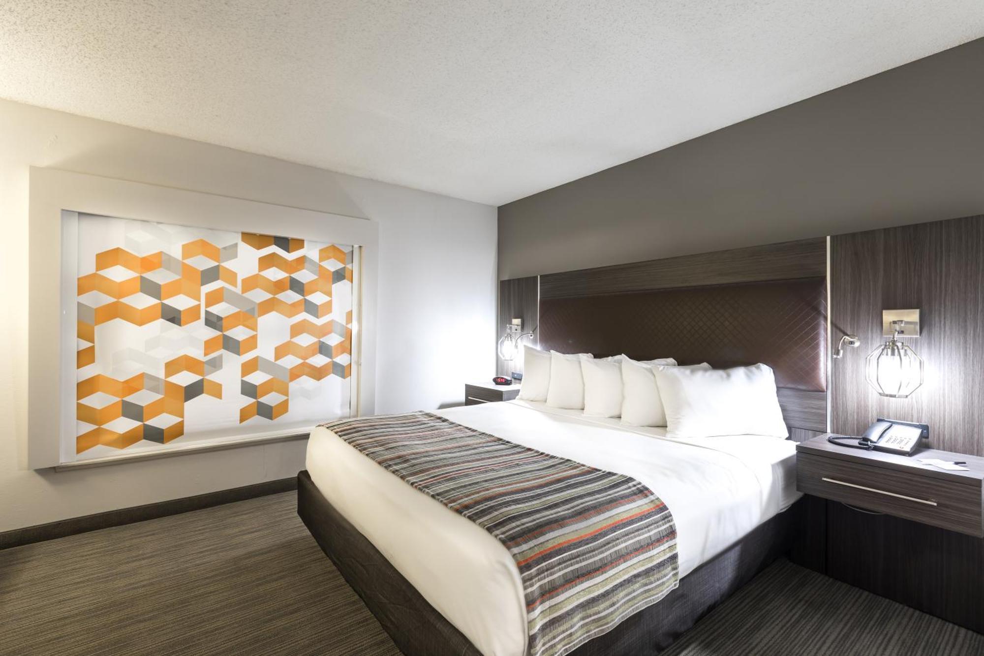 One-Bedroom King Suite with Roll-In Shower - Disability Access
