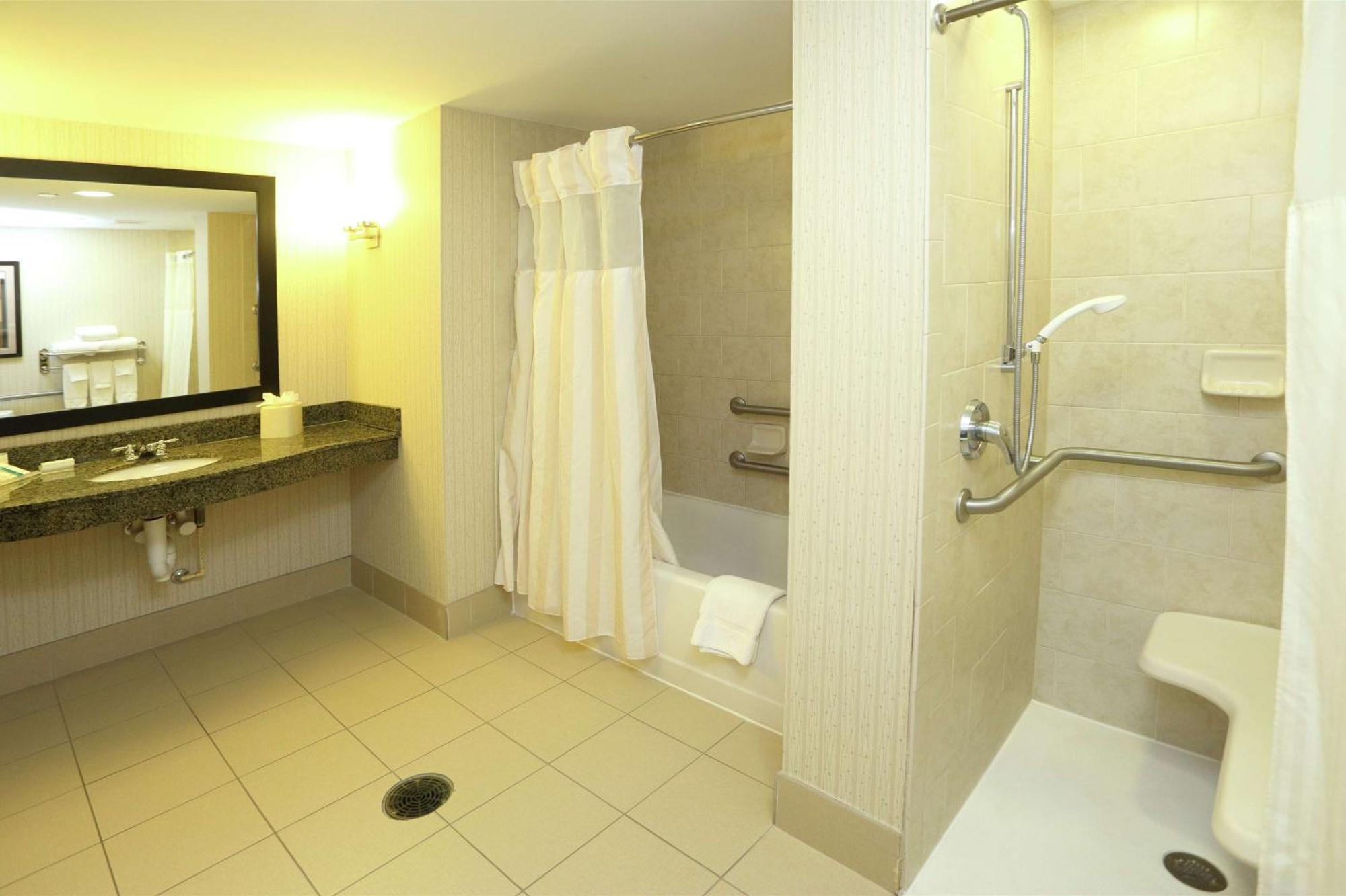 Deluxe King Suite with Shower - Mobility and Hearing Access