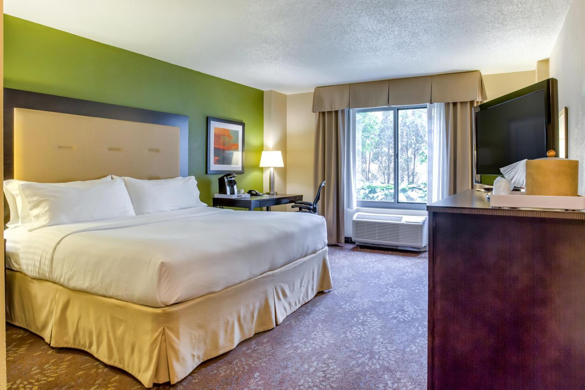 One-Bedroom King Suite with Sofa Bed