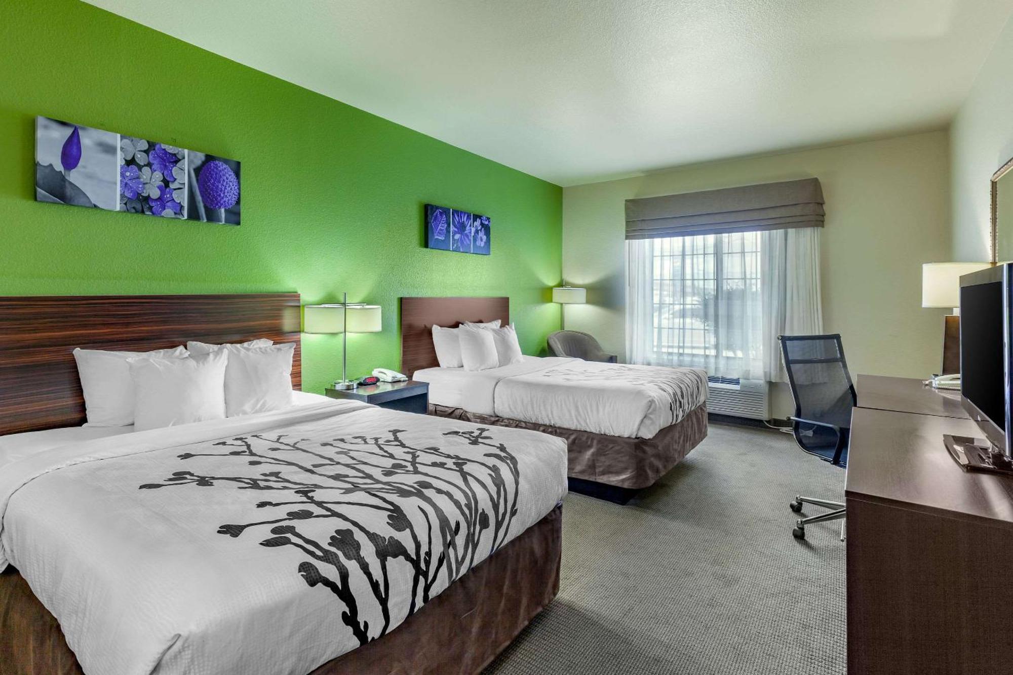 Queen Room with Two Queen Beds - Non-Smoking