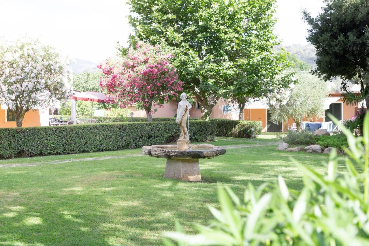 Studio Garden View