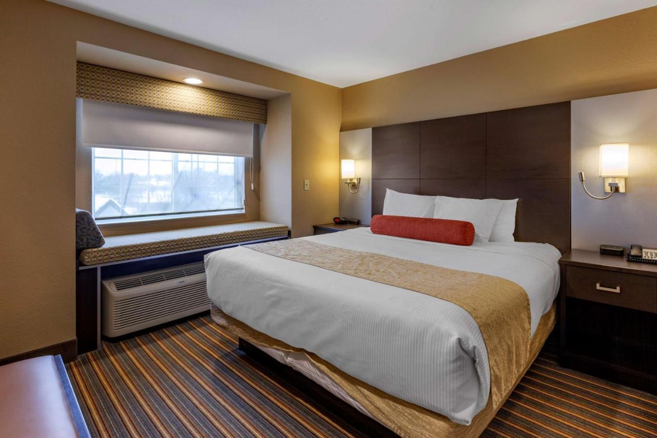 King Suite with Queen Bed and Sofa Bed - Kitchen