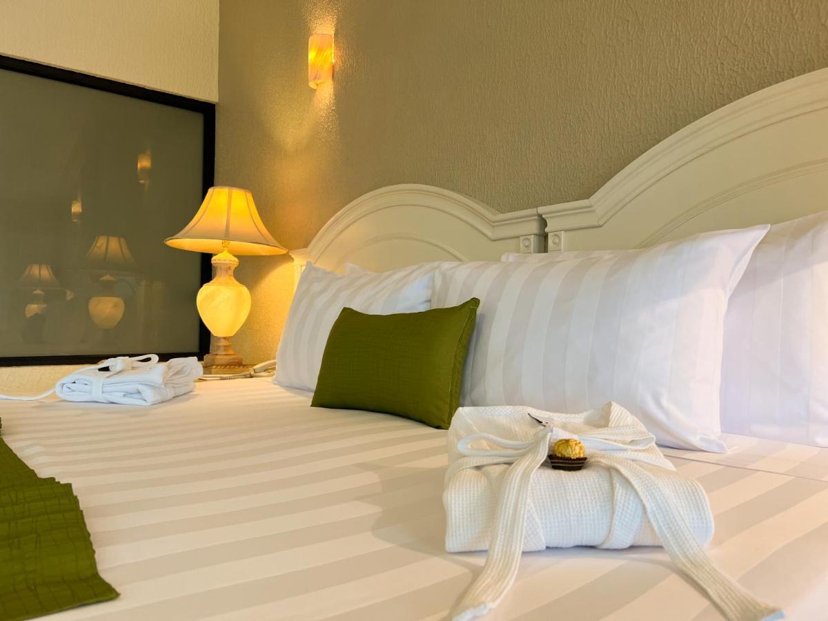 Suite con cama extragrande