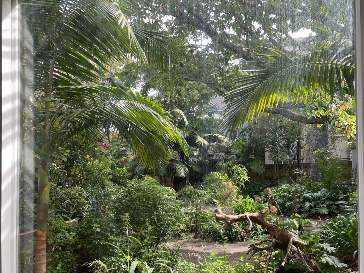 Studio Garden View