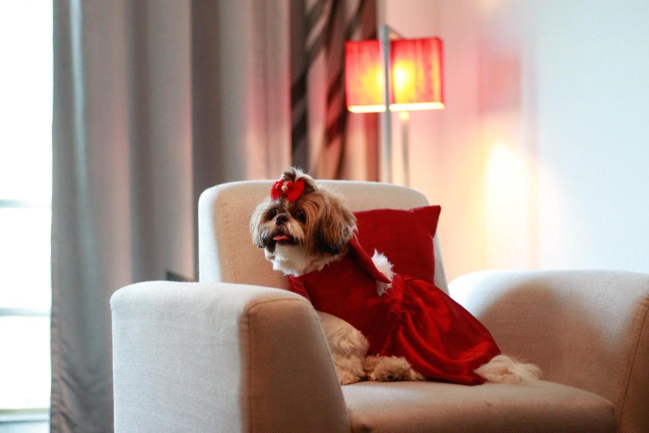 Pet Friendly Studio Suite Living-cum-bedroom Kitchenette Premier Lounge access on Food & Beverage Laundry SPA