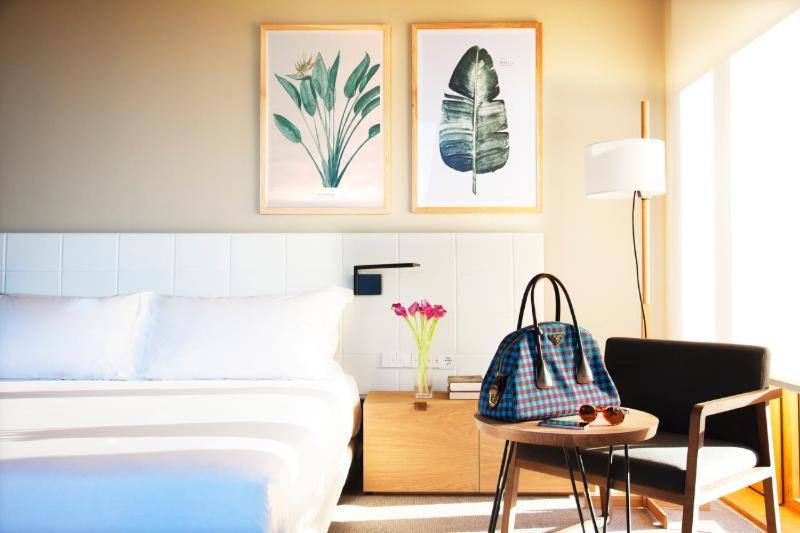Junior Suite Terrace