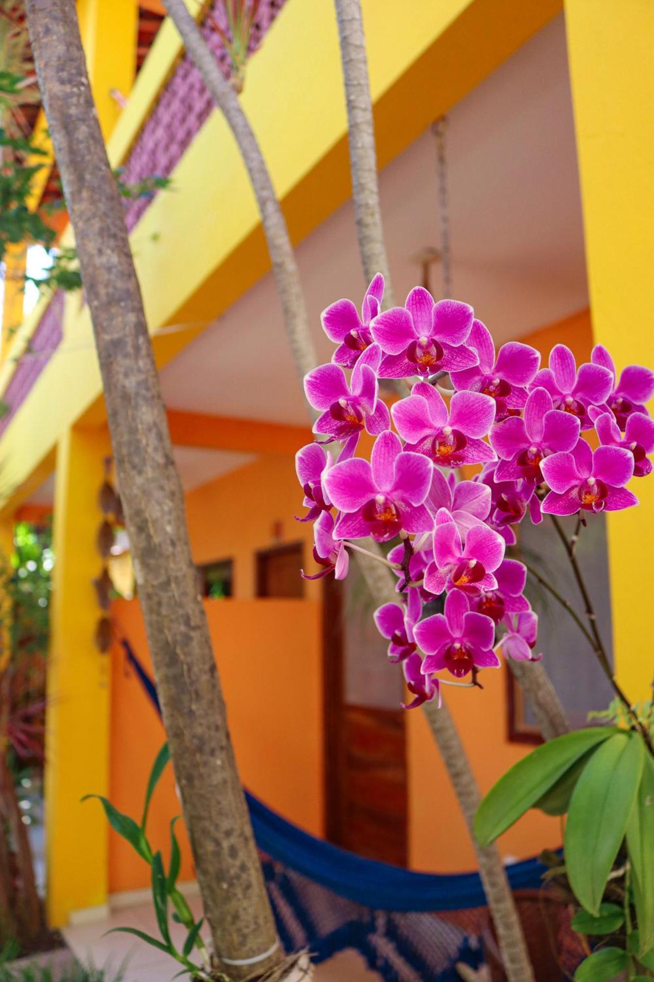 Triple Room Balcony