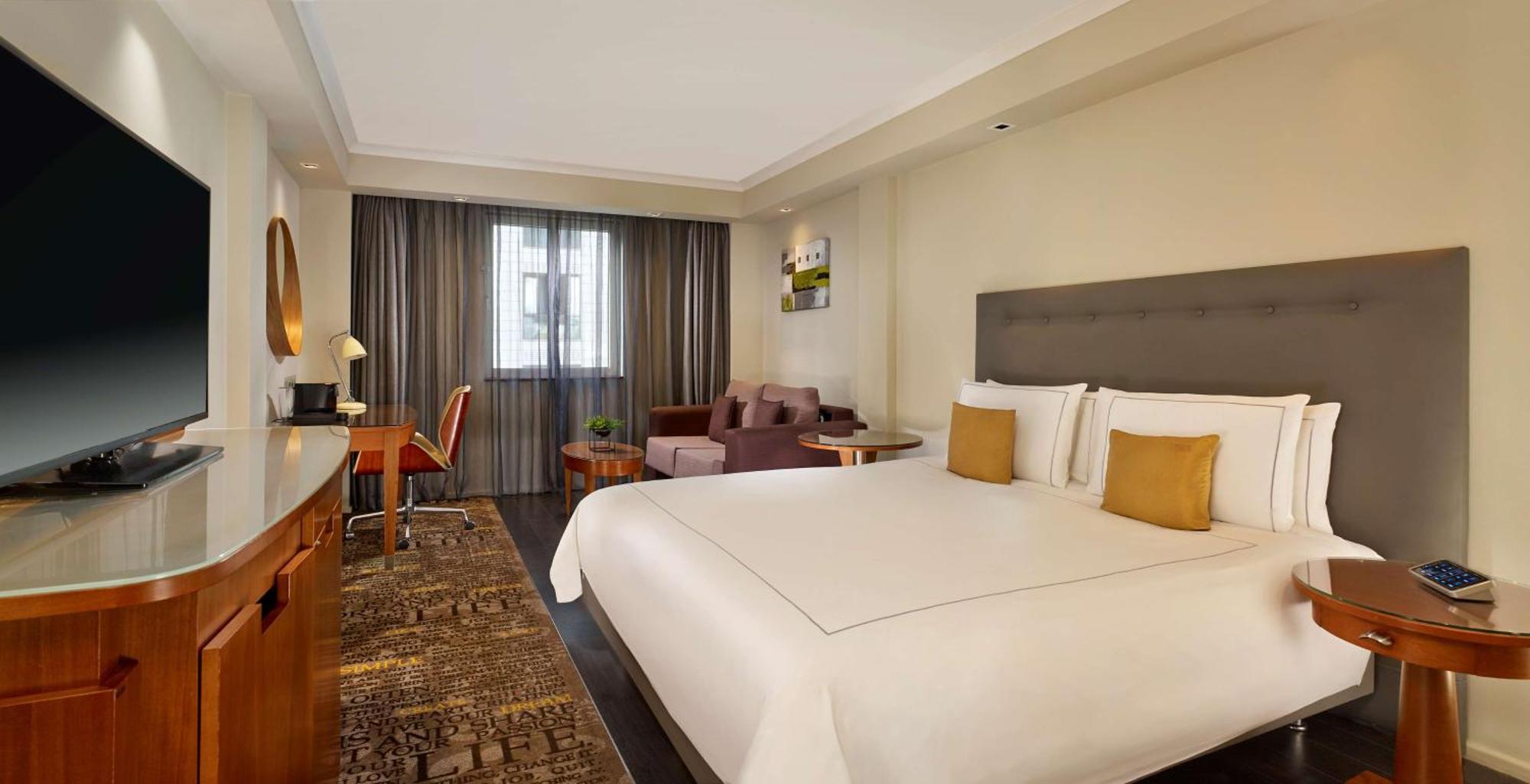 Executive King Room Sofa Bed,1516434673:JPEG