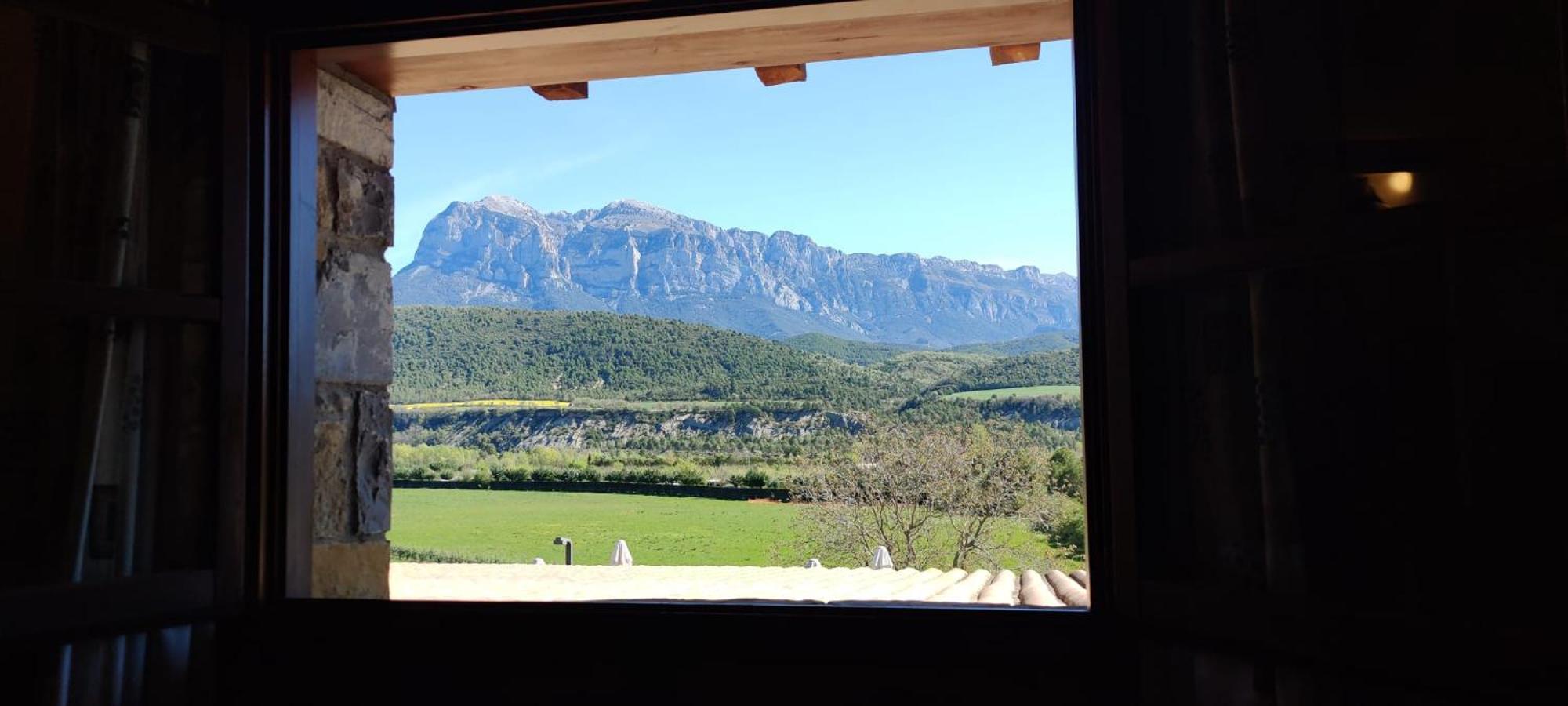 Double or Twin Room View