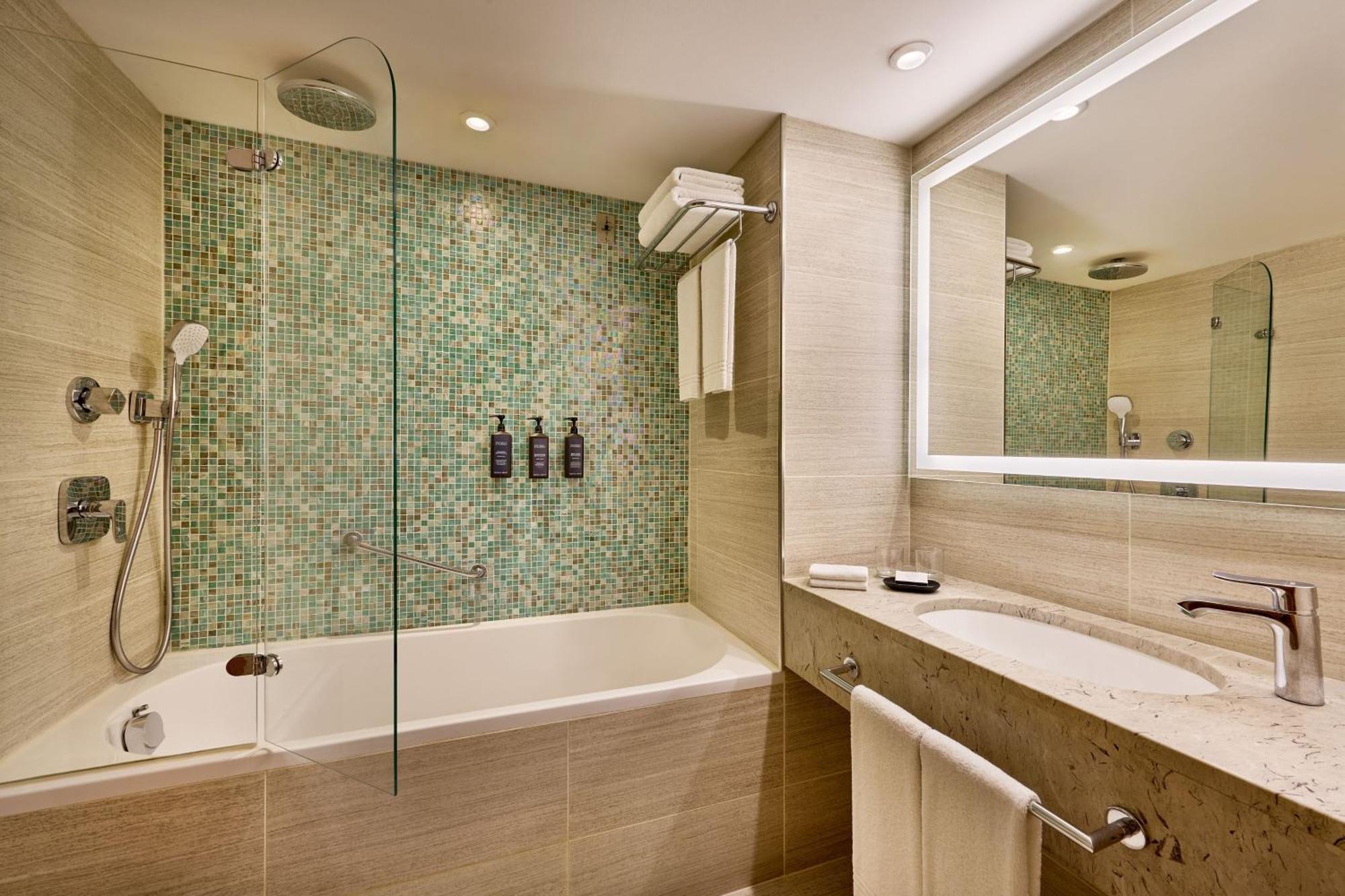 Classic Suite 1 Bedroom 2 room Suite 1 King