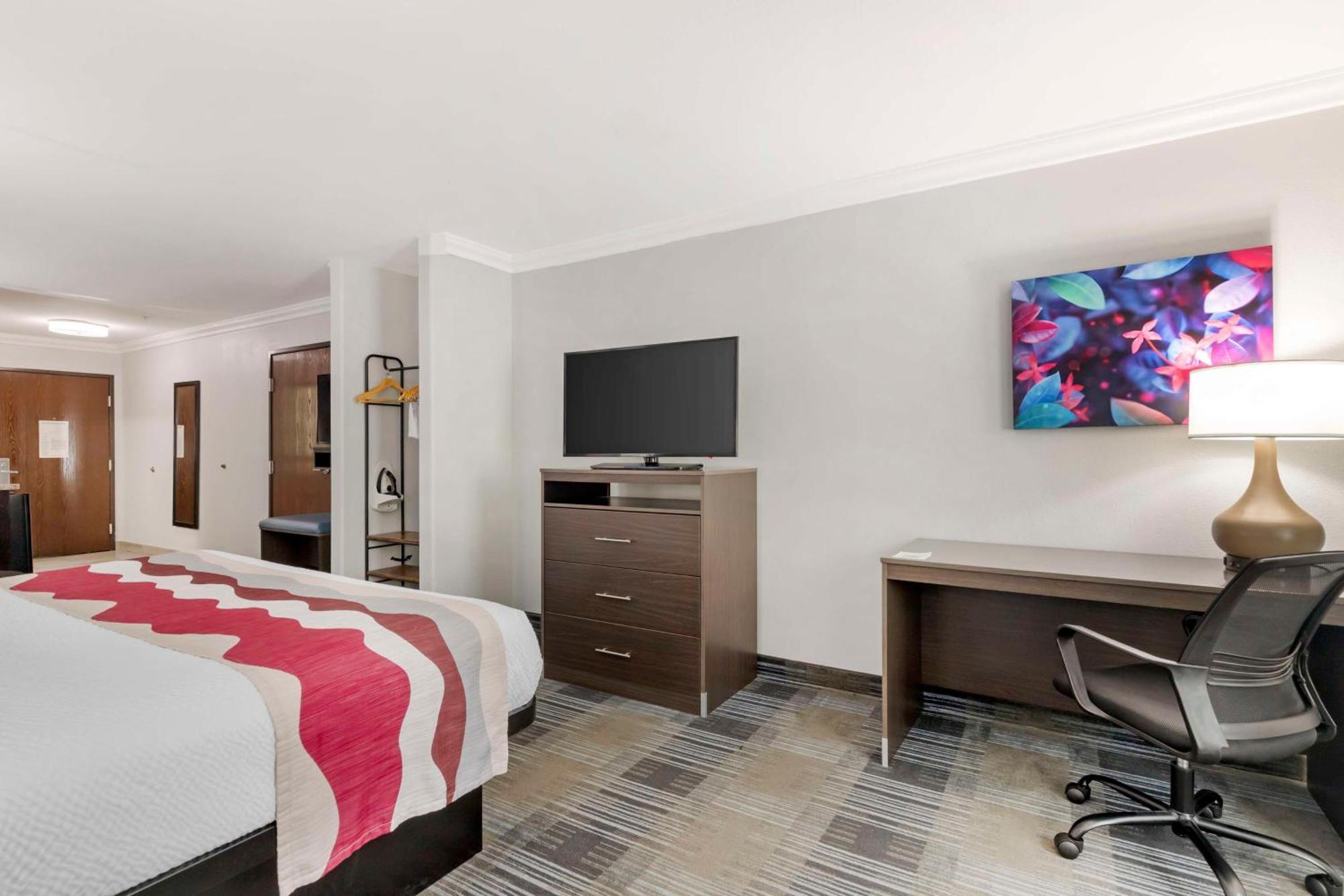 King Suite with Sofa Bed