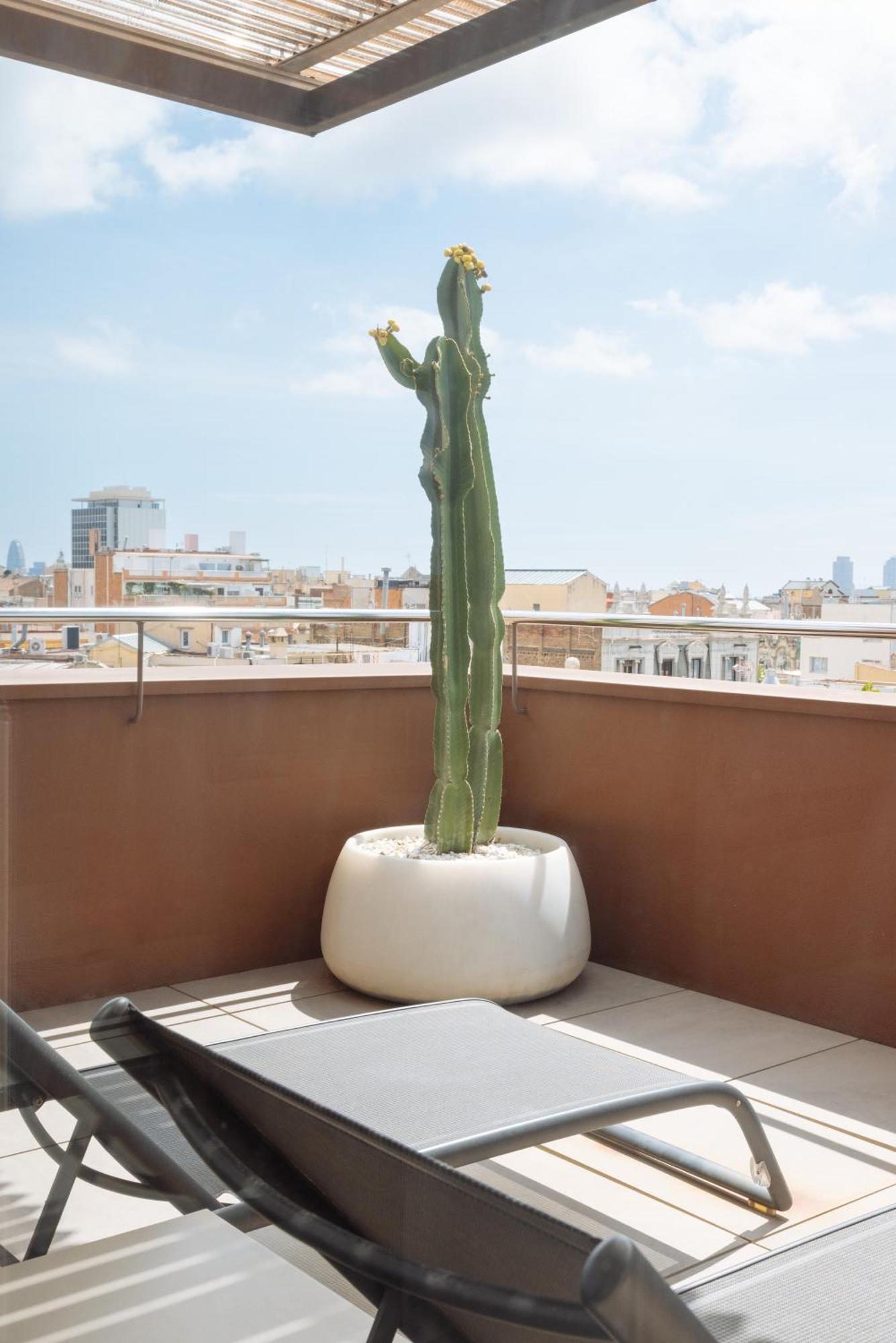 Privilege Double Room with Terrace