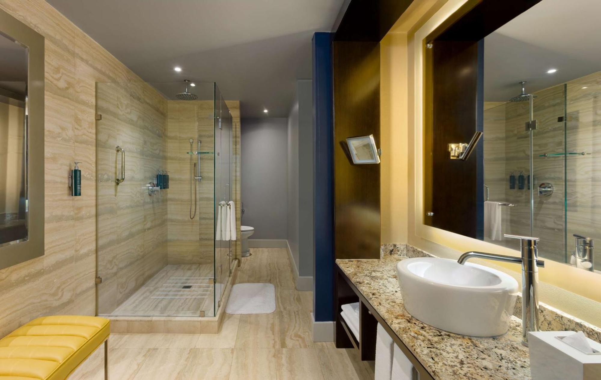 Deluxe King Room City View