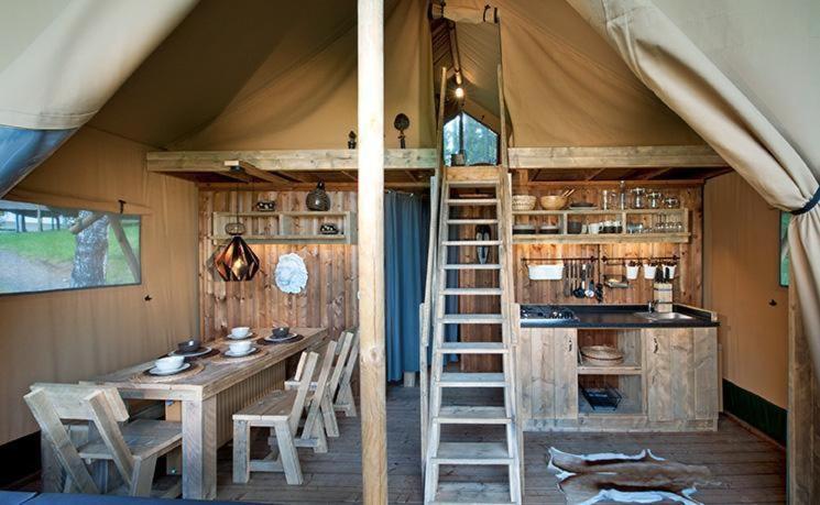 Safari-Lodge Tent "Lion",1658074453:JPEG