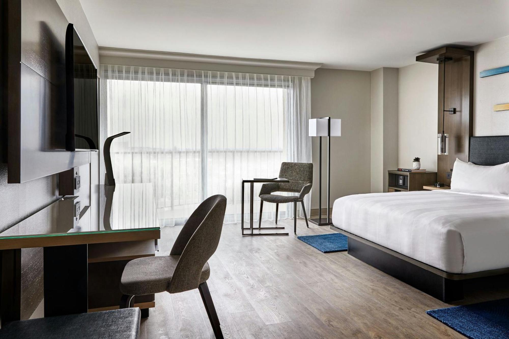 Standard 1 King Bed