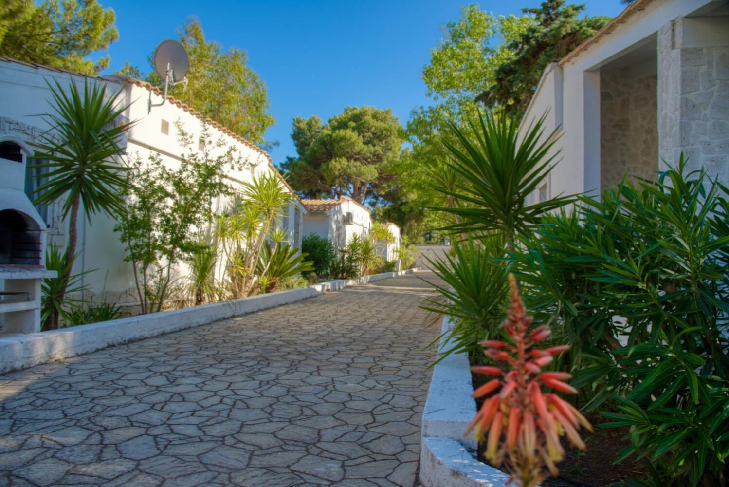 Standard Villa,1675813521:JPEG