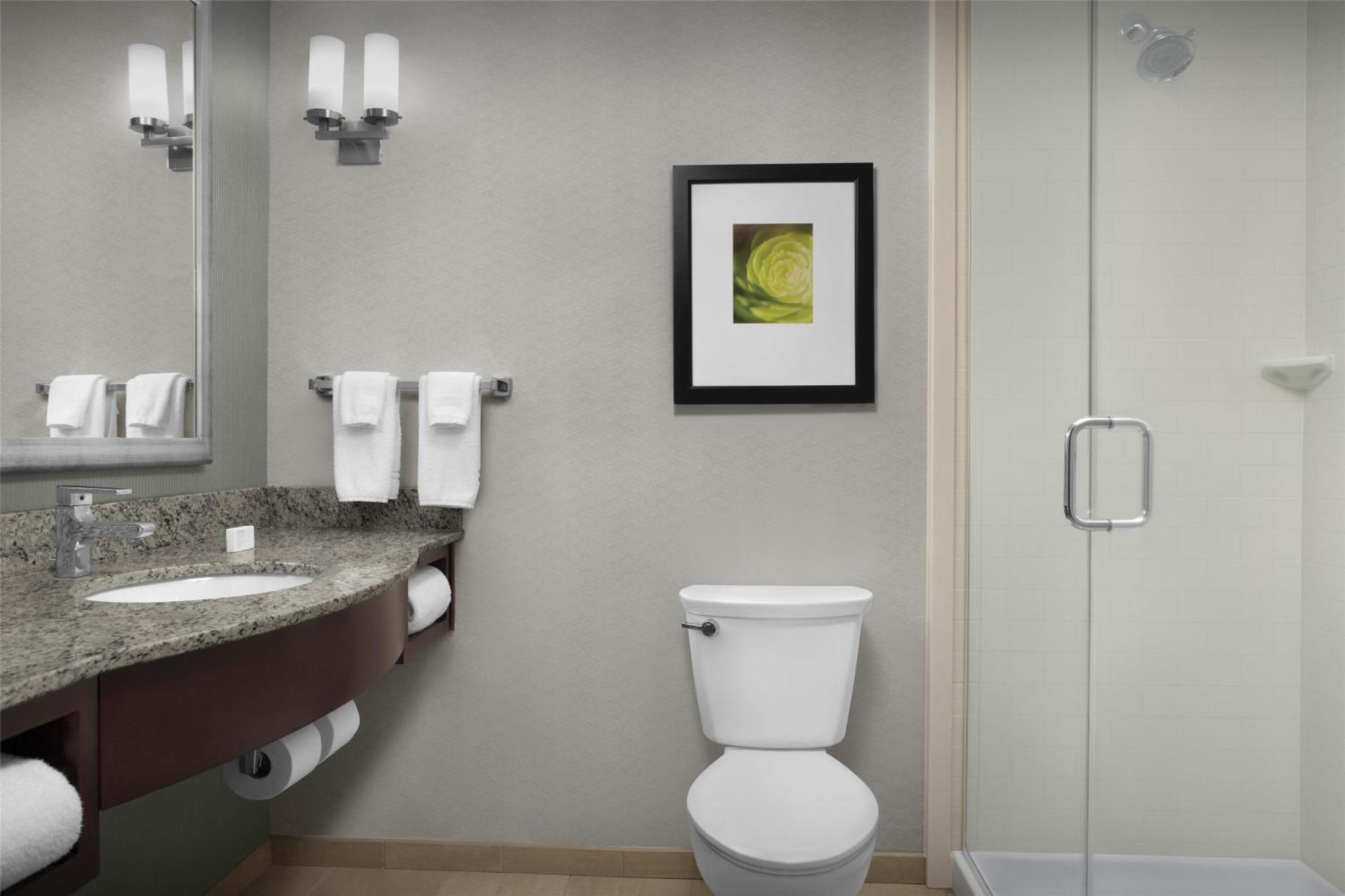 King Room Tub Mobility Hearing Access