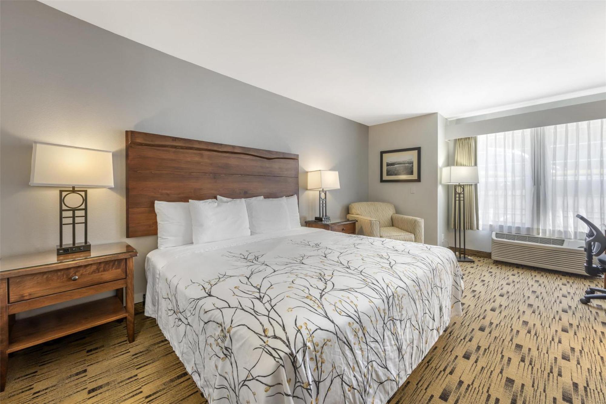 King Room View Disability Access or Non-Smoking