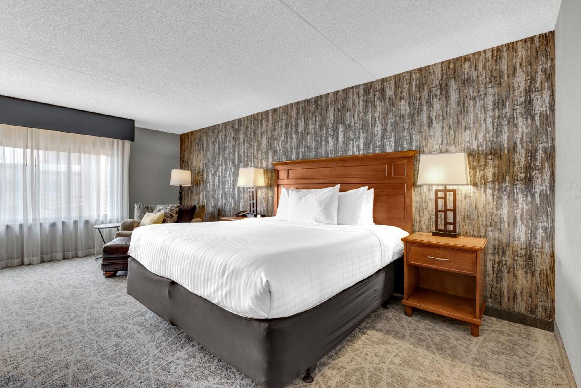 Deluxe King Room No pets