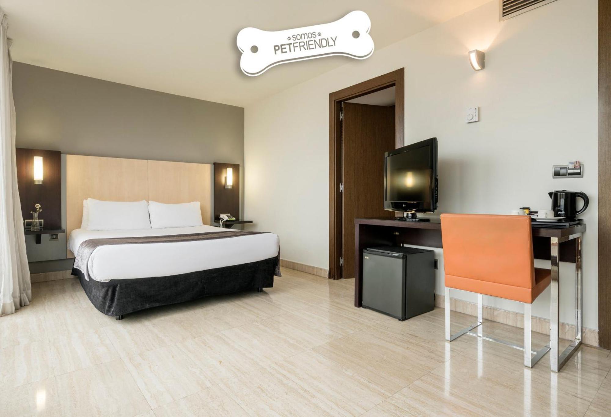 Double Room Pet Friendly