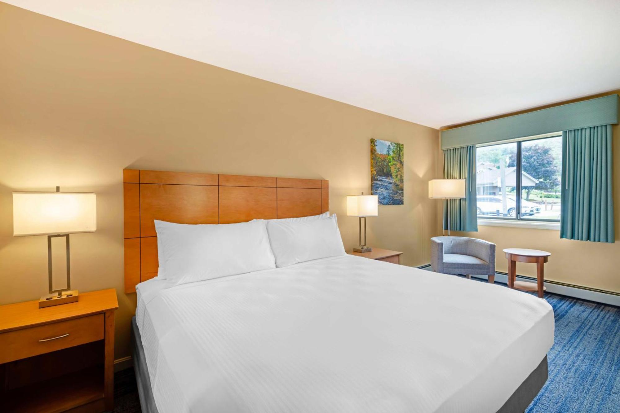 One-Bedroom King Suite with Sofa Bed and Kitchen