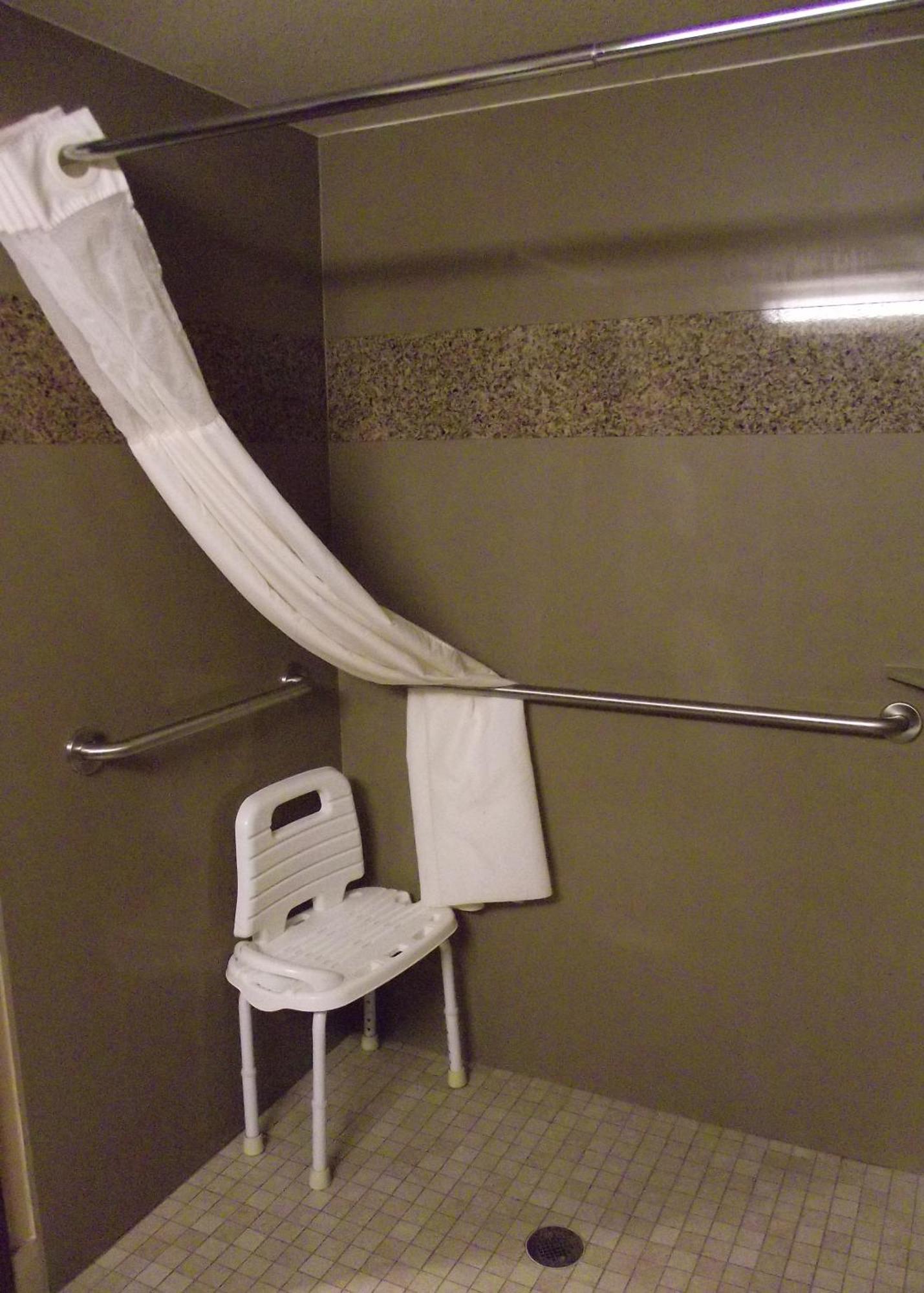 King Room with Walk-in Shower - Mobility Accessible/Non-Smoking