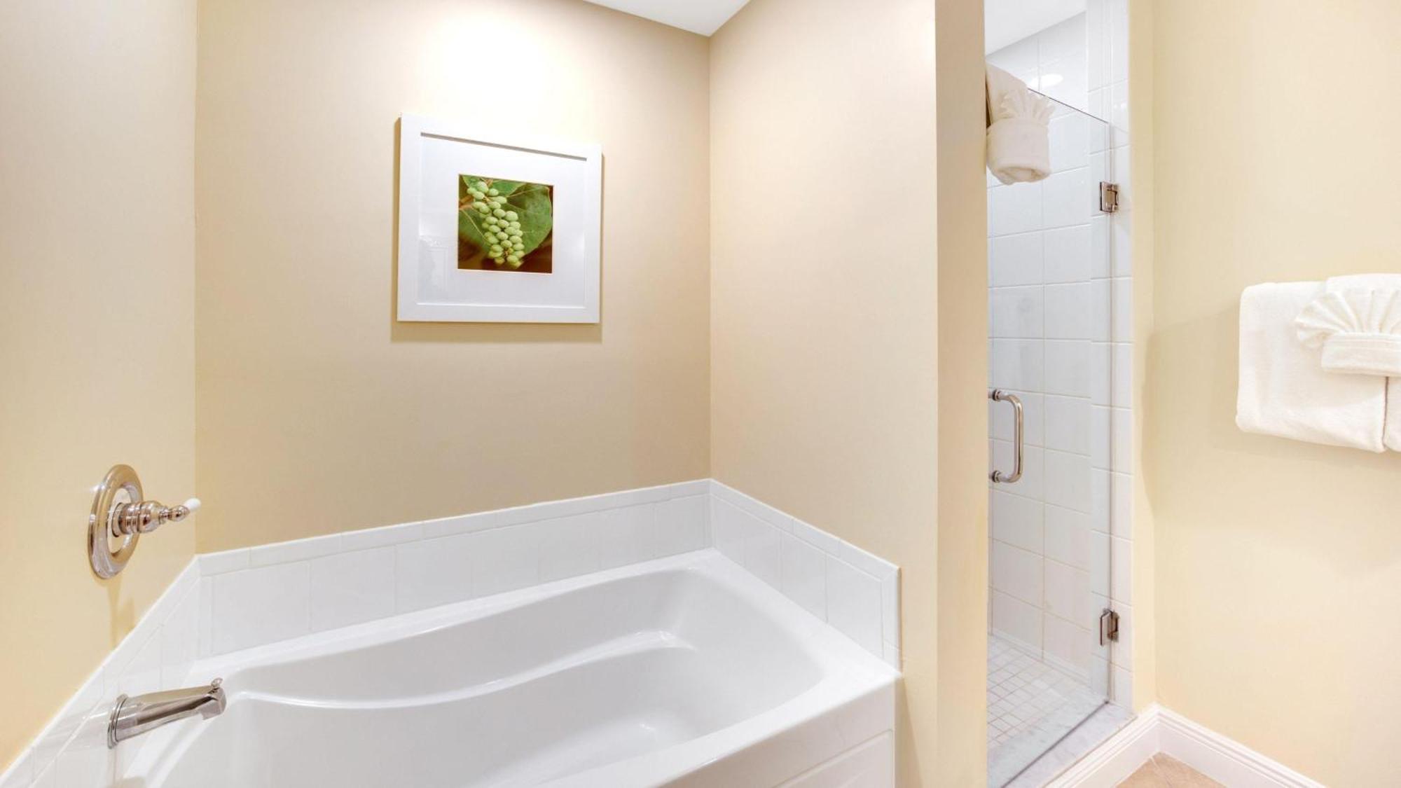 Tropical Garden King Guestroom