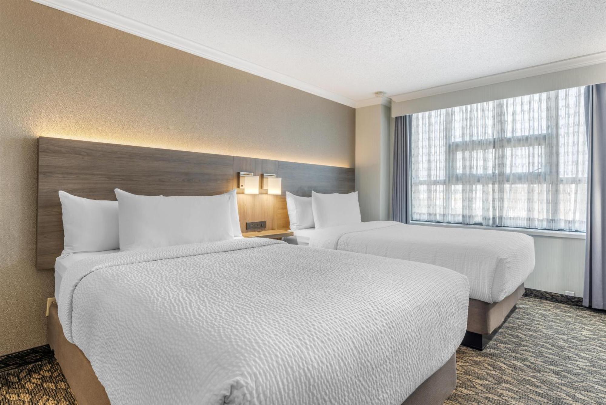 Suite with Two Double Beds and Sofa Bed - Kitchen