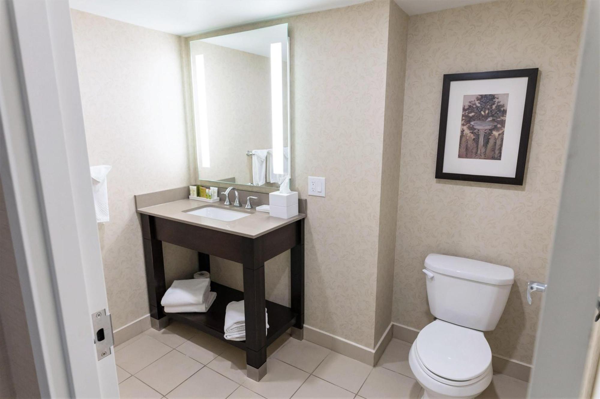 Compact King Room Shower City View