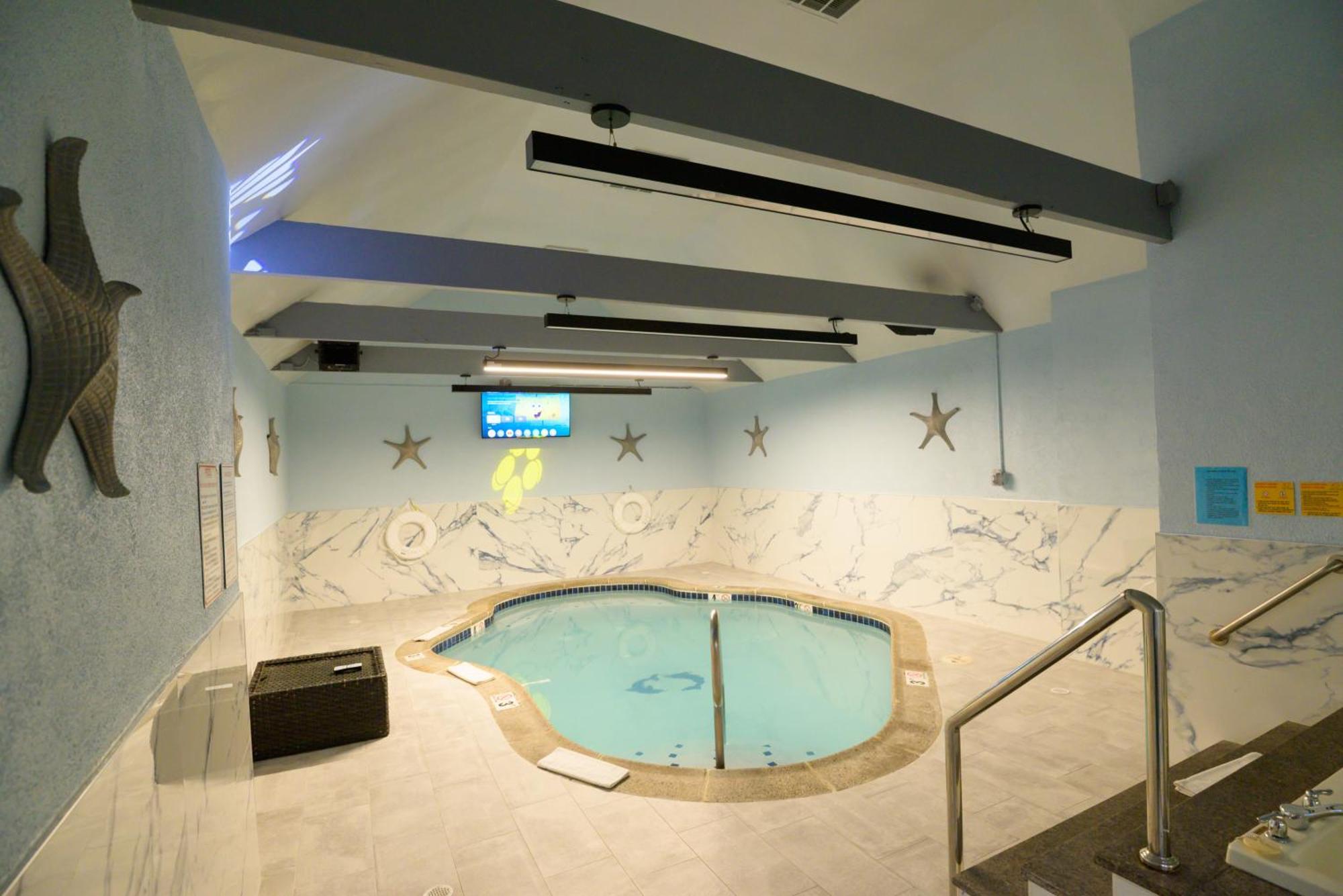 Presidential King Suite with Private Pool, Jacuzzi and Fireplace