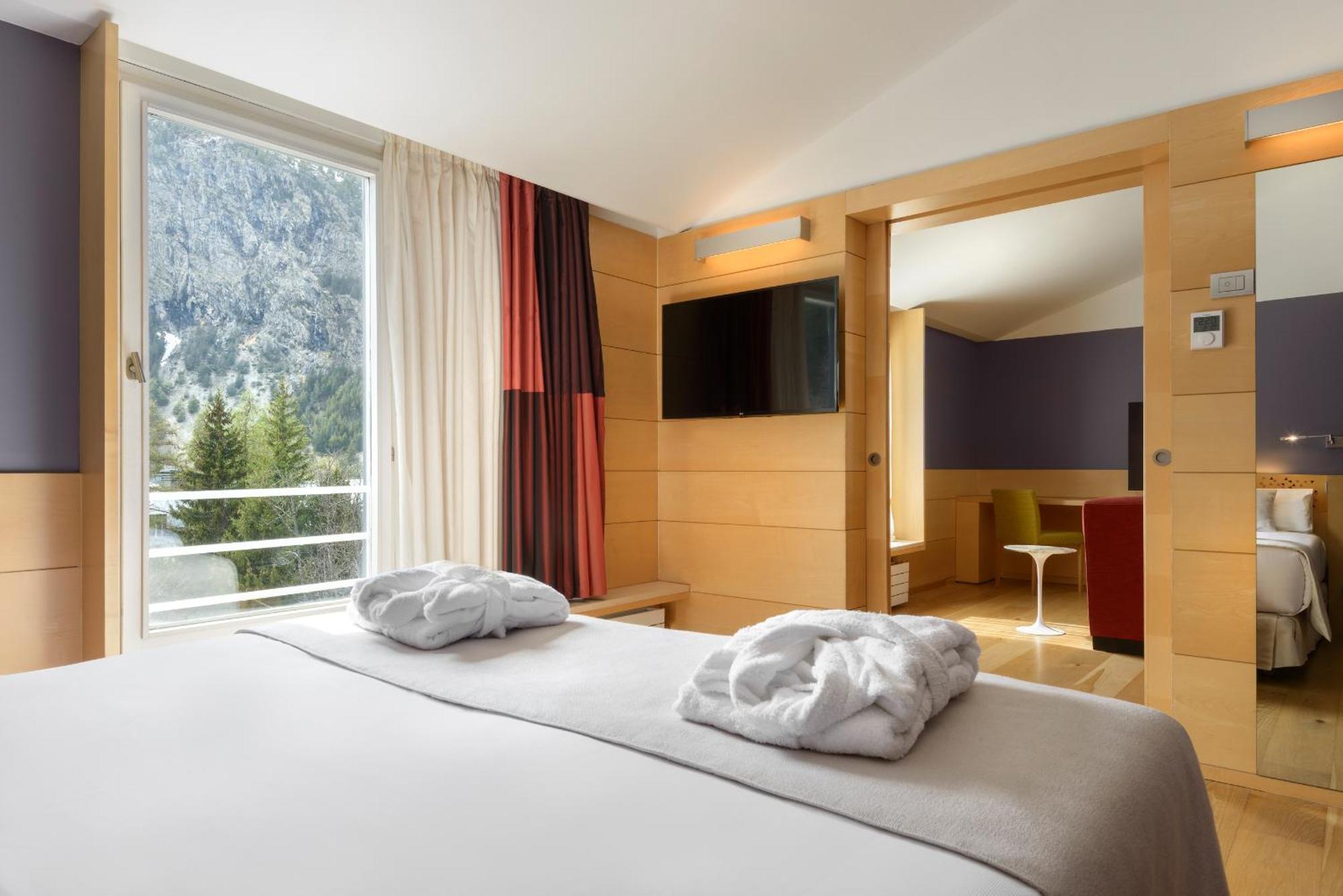 Double or Twin Room Mountain View