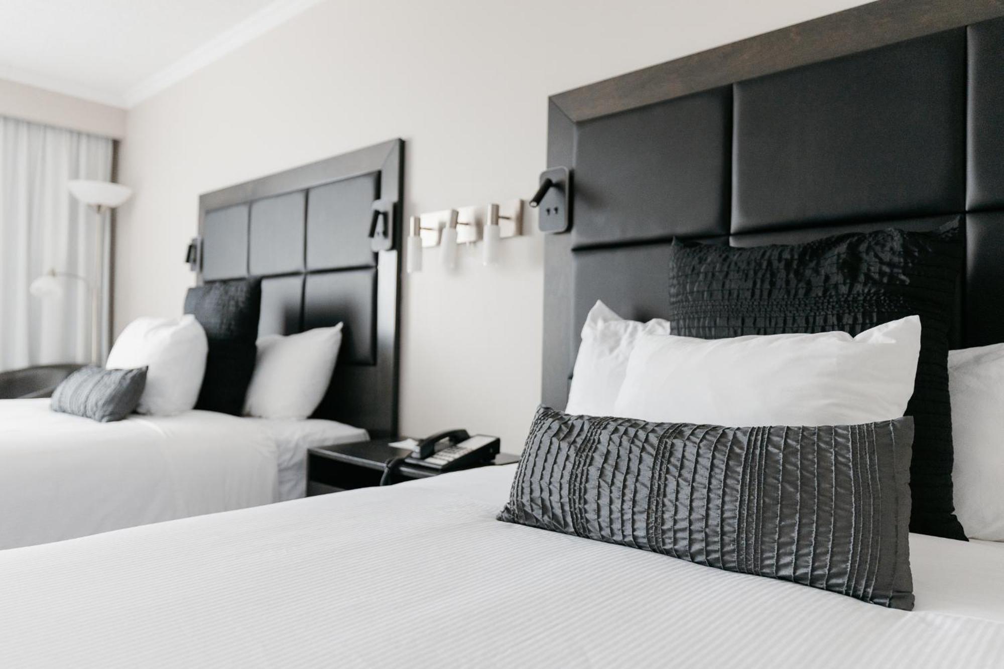 Queen Room Two Queen Beds