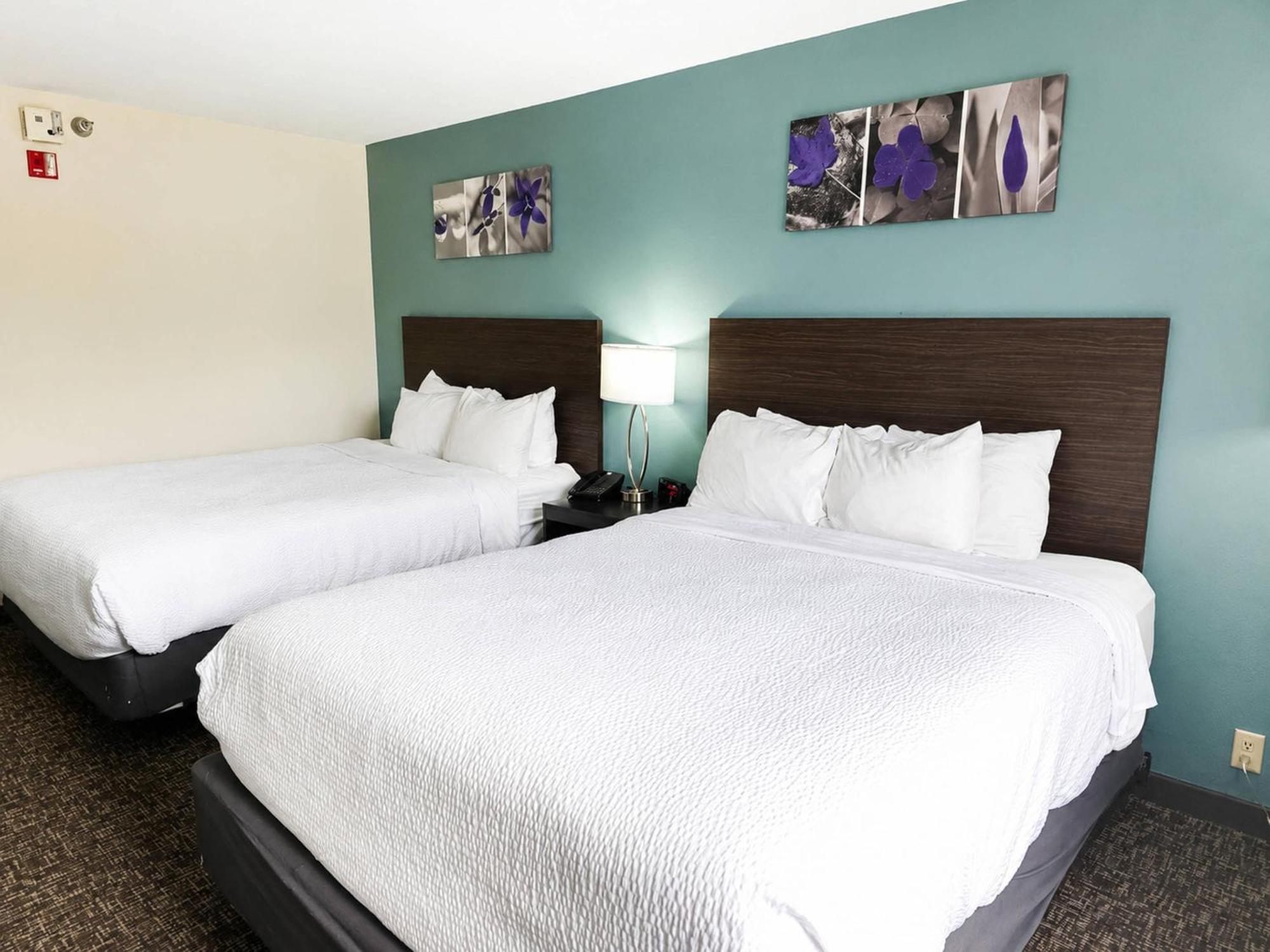 Queen Room Two Queen Beds Disability Access