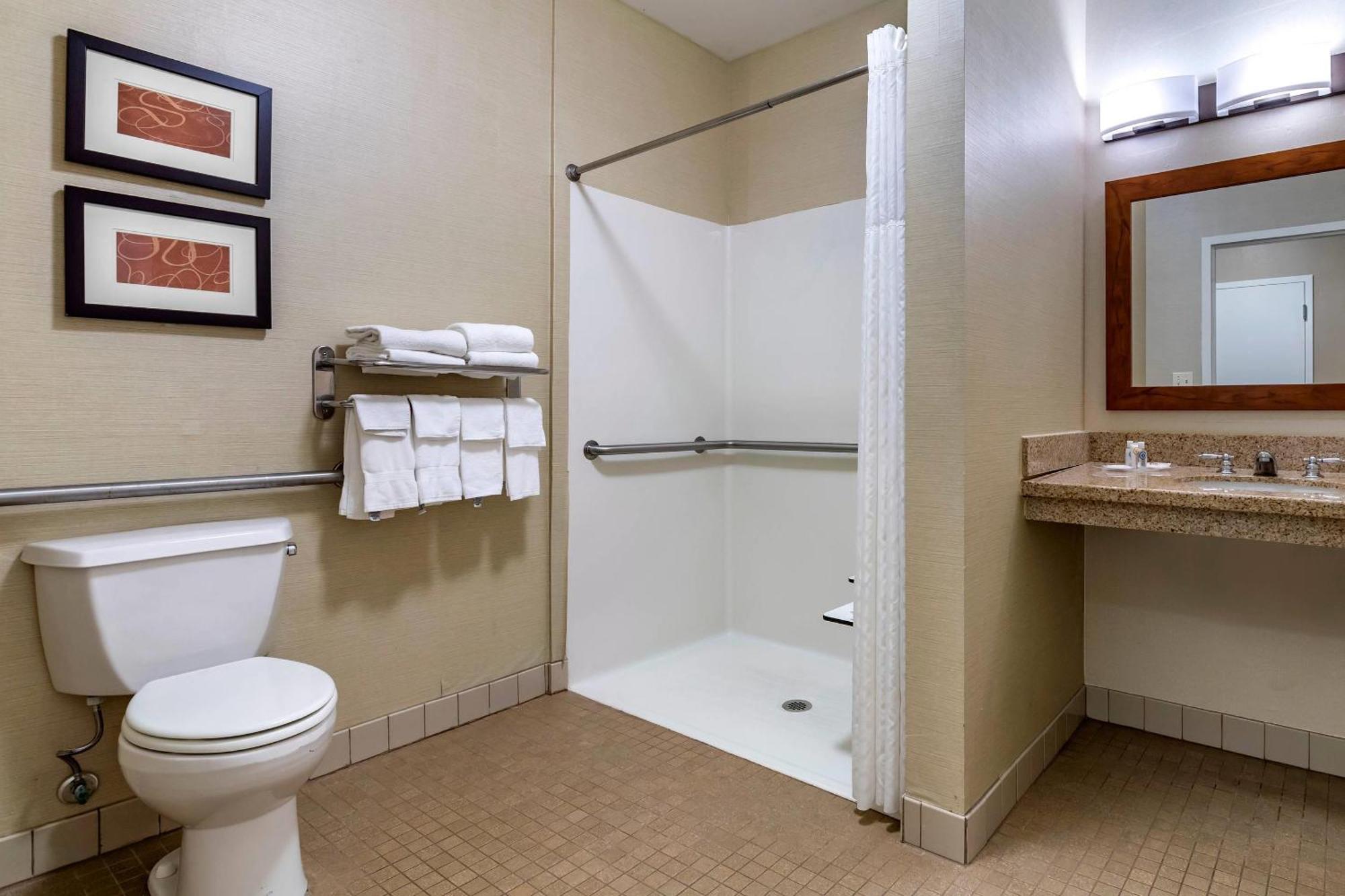 King Room Accessible or Non-Smoking
