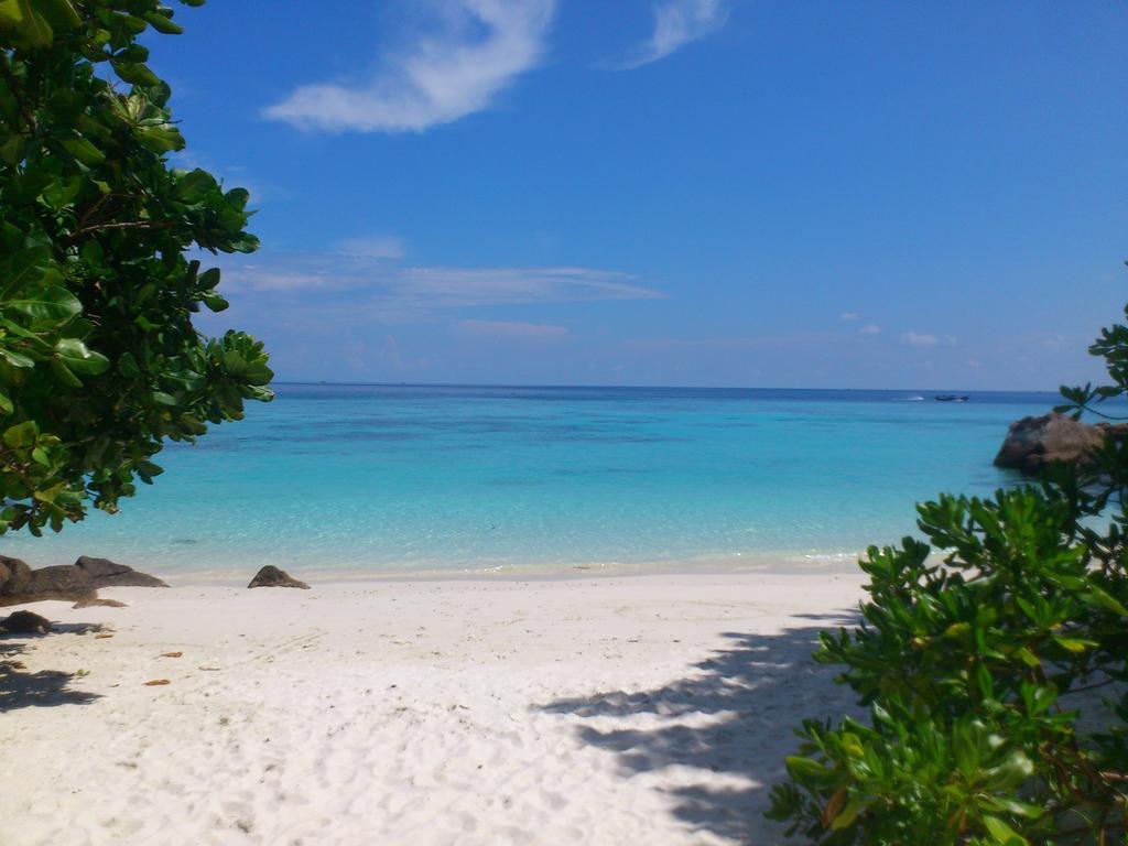 Bungalow - Beach Front