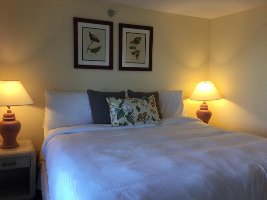 King Room,233058712:JPEG