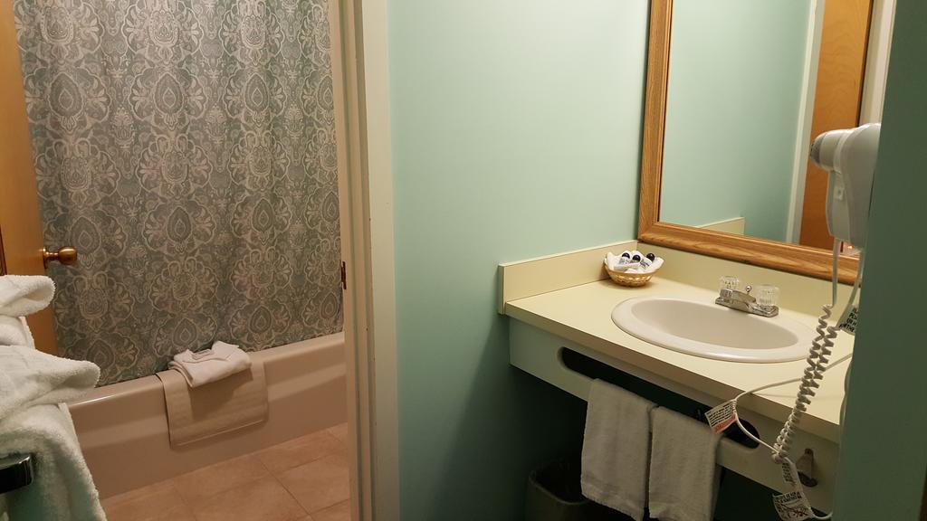 Deluxe Suite (Max 6 Occupants including children)