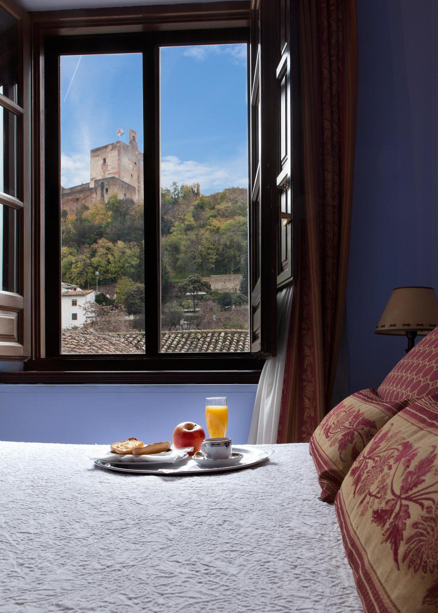 Double or Twin Room Alhambra Views,390738951:JPEG
