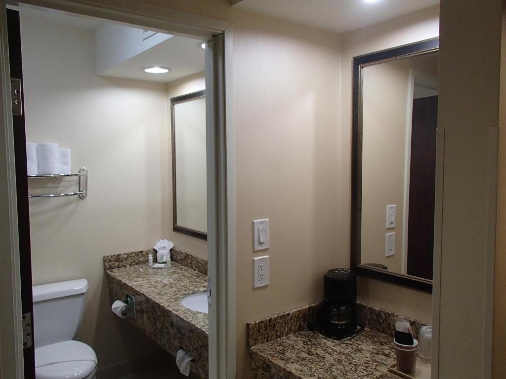 King Room Roll Shower Mobility or Hearing Accessible Non-Smoking,774734725:JPEG