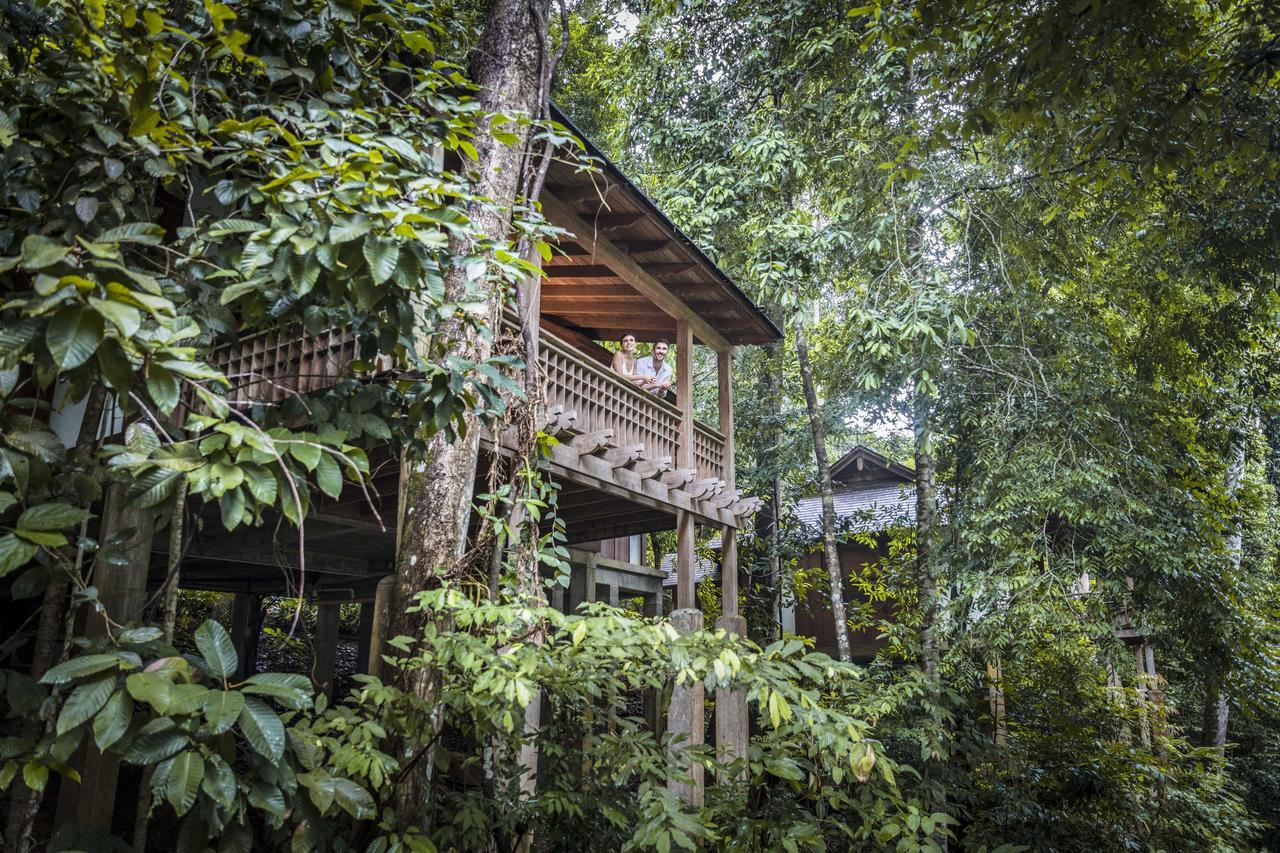 Villa Selva Tropical con 1 cama extragrande o 2 individuales